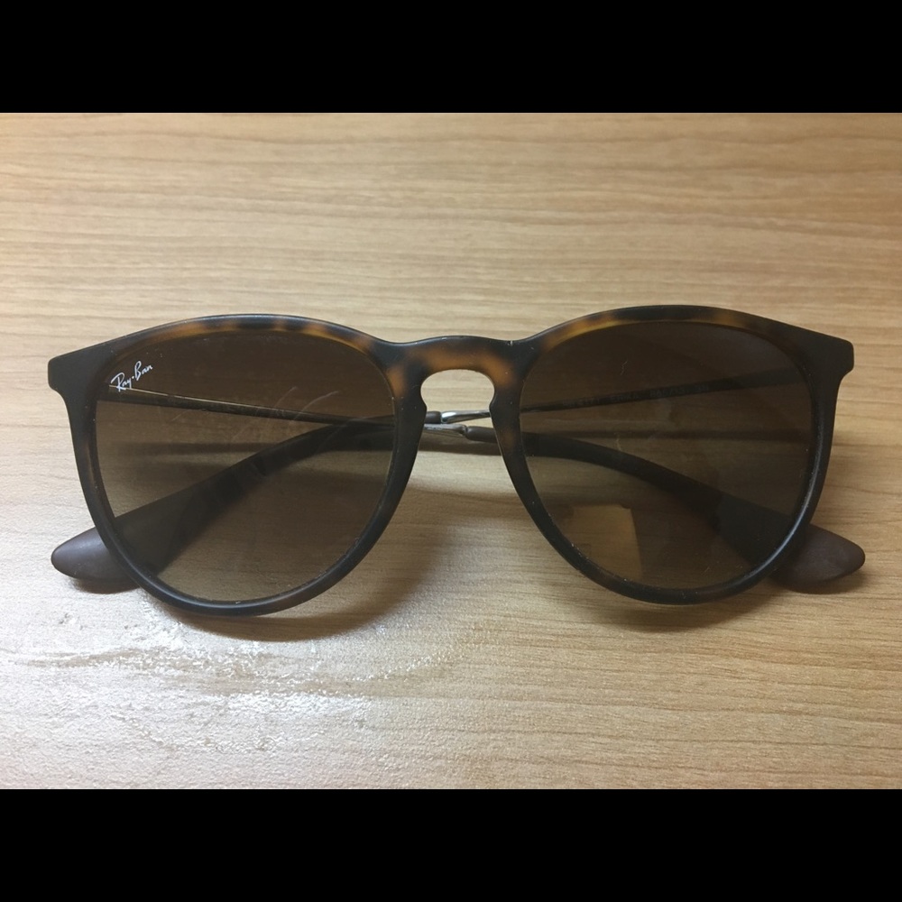 Ray Ban Erika Matt Sunglasses